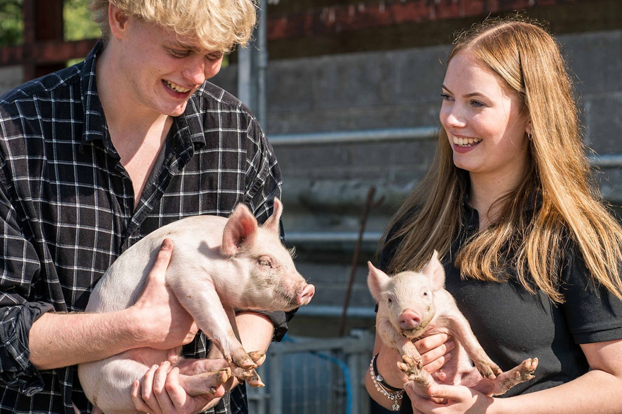 Westminster Foundation