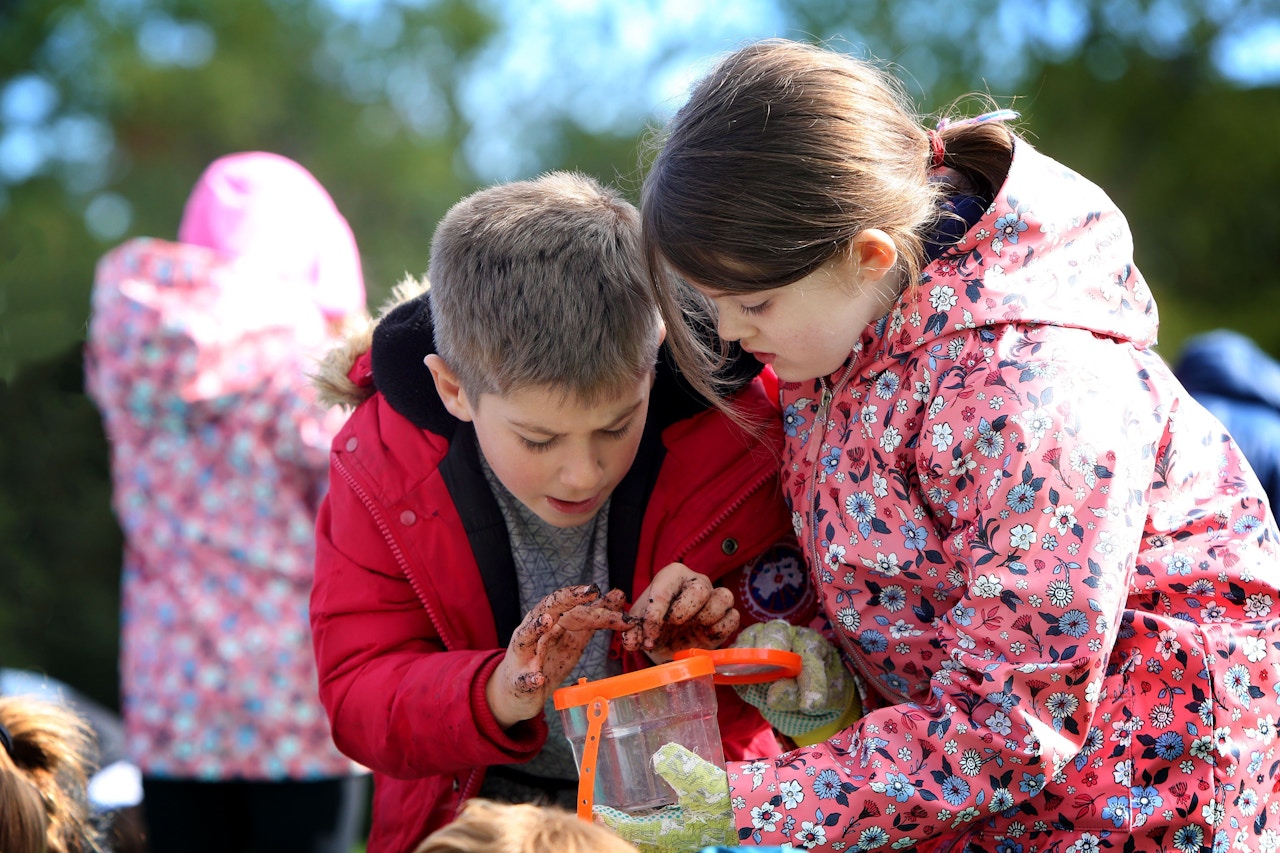 Westminster Foundation